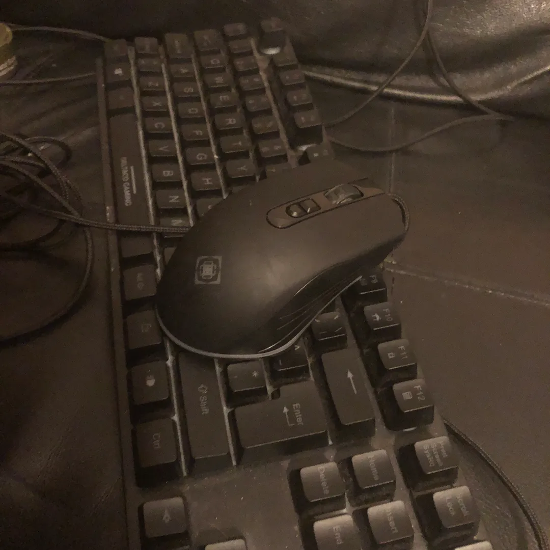 Tastatur og mus