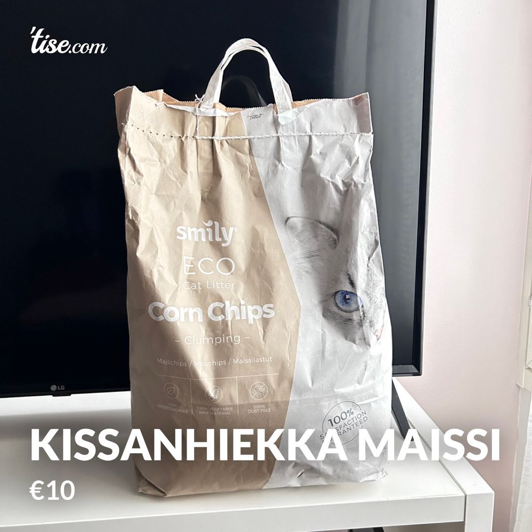 Kissanhiekka maissi