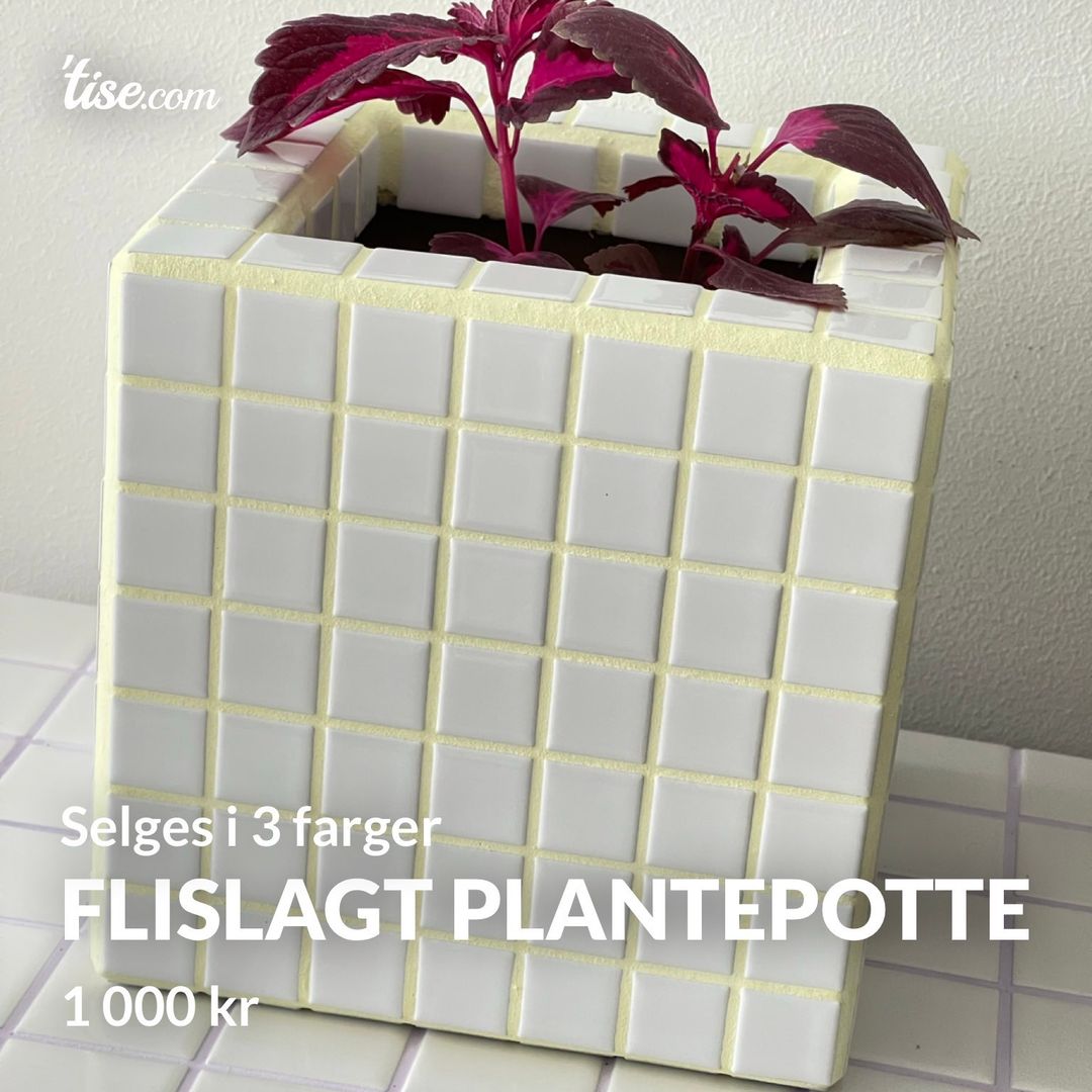 Flislagt plantepotte