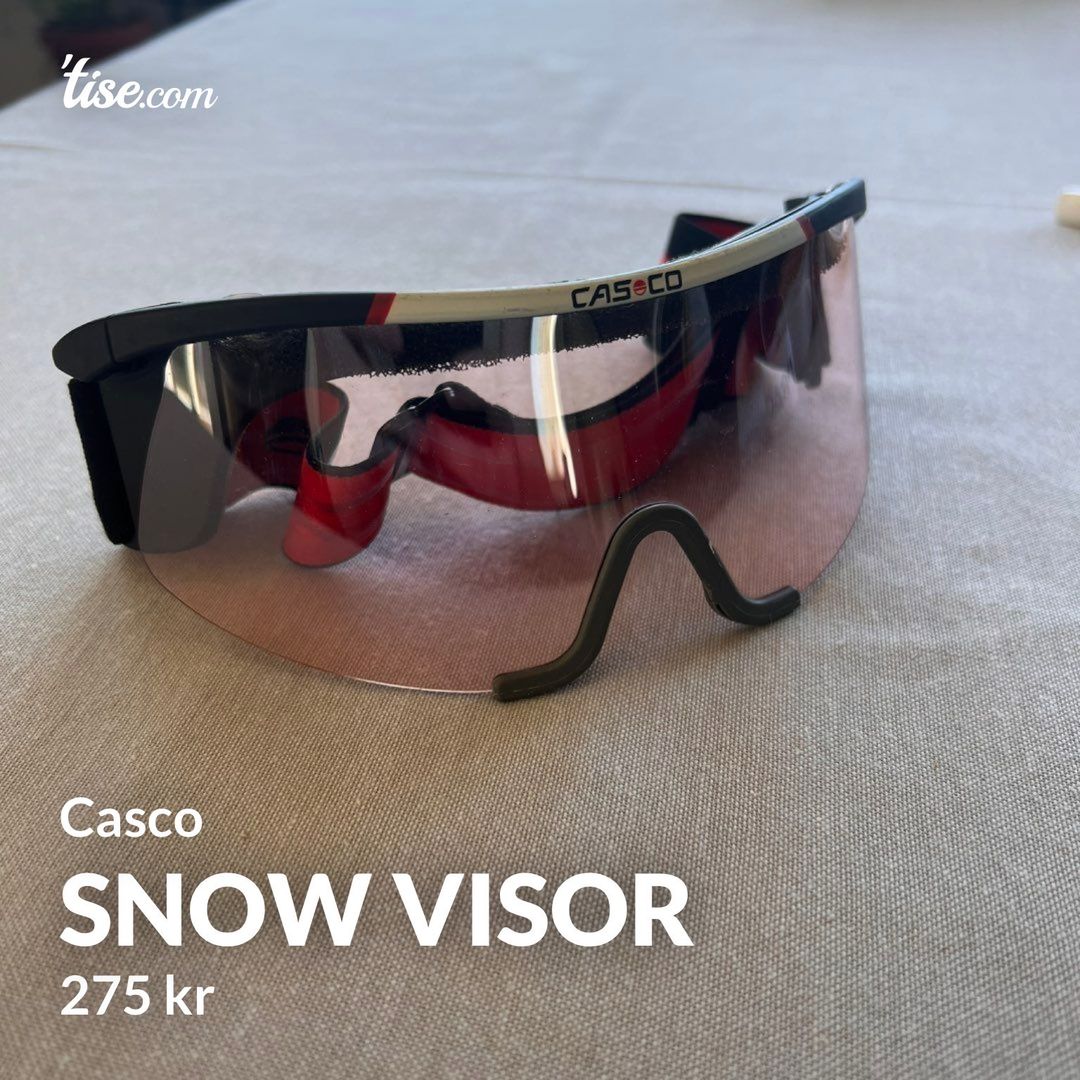 Snow visor