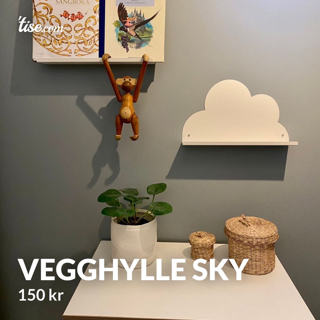 Vegghylle sky