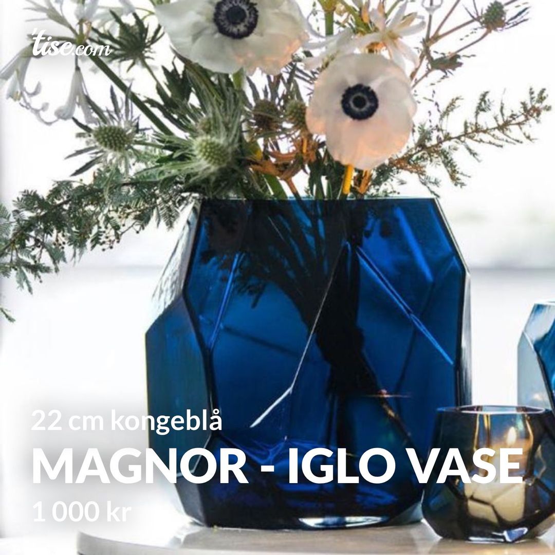 Magnor - iglo vase