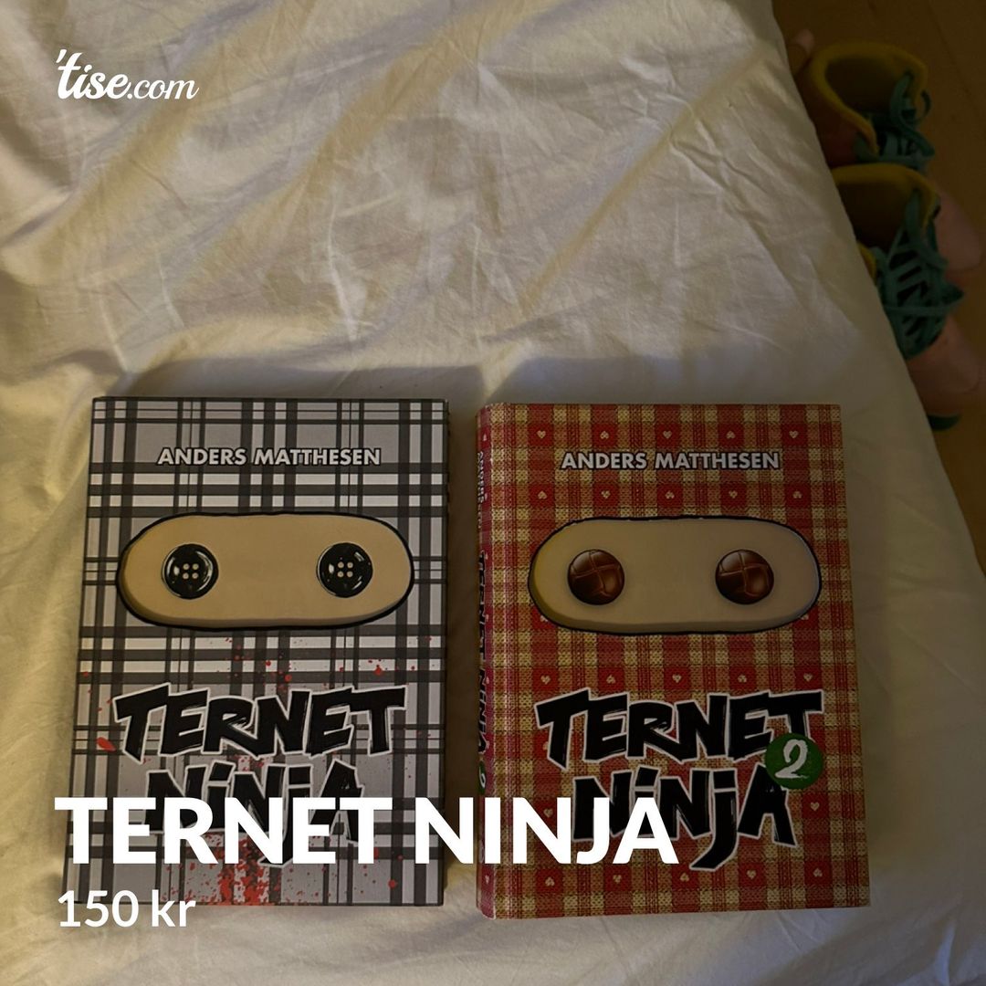 Ternet ninja