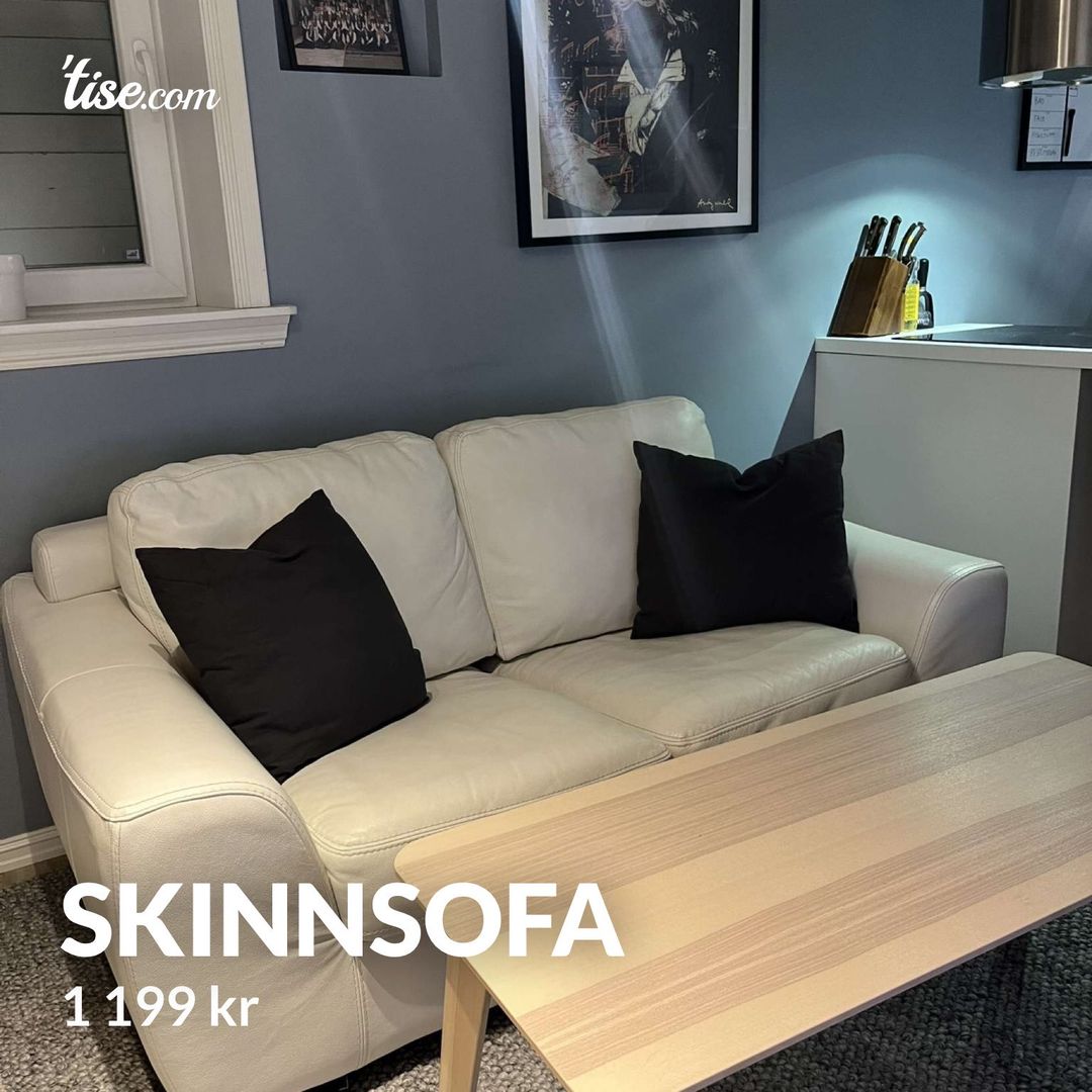 Skinnsofa