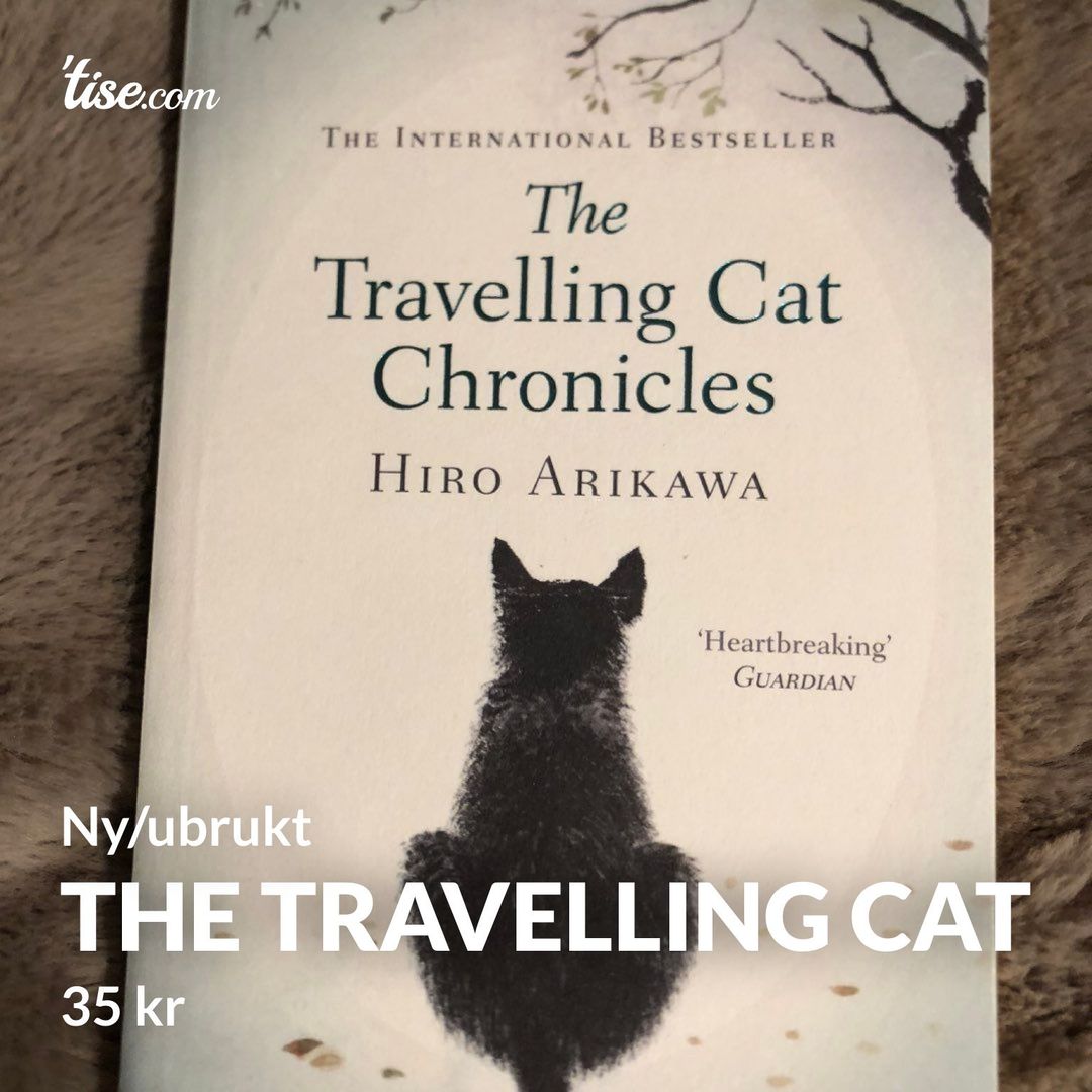 The travelling cat