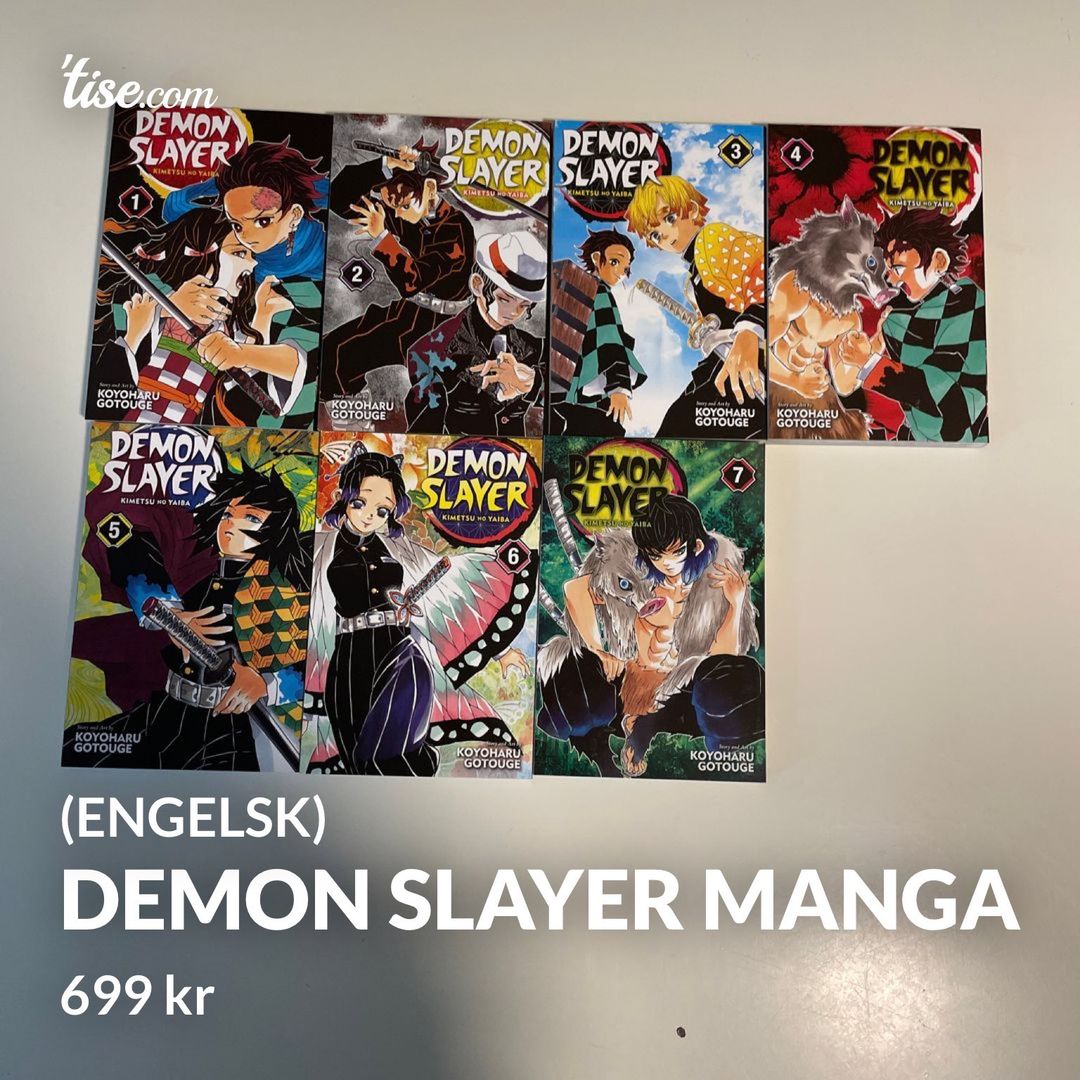 Demon slayer manga