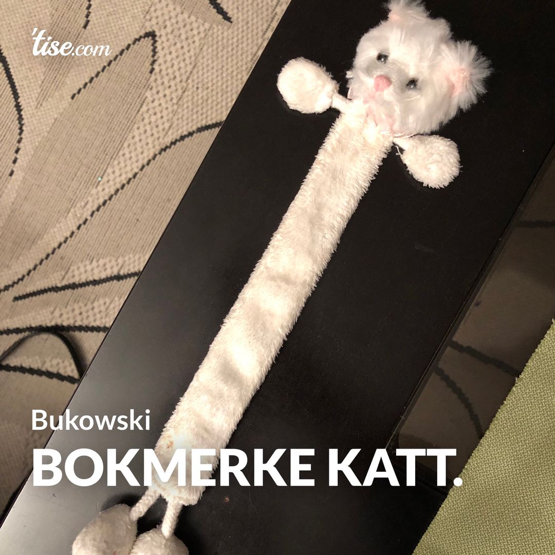 Bokmerke Katt