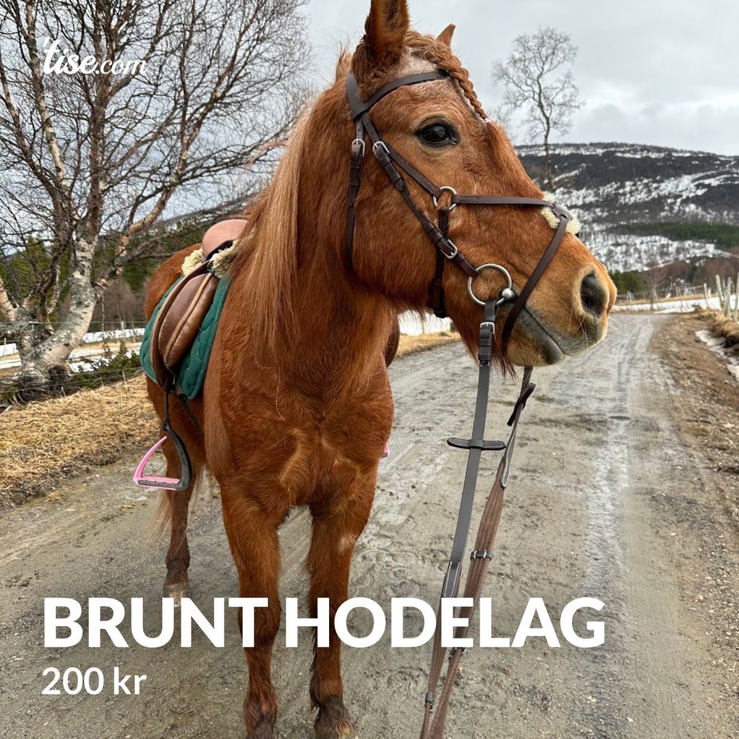 Brunt hodelag