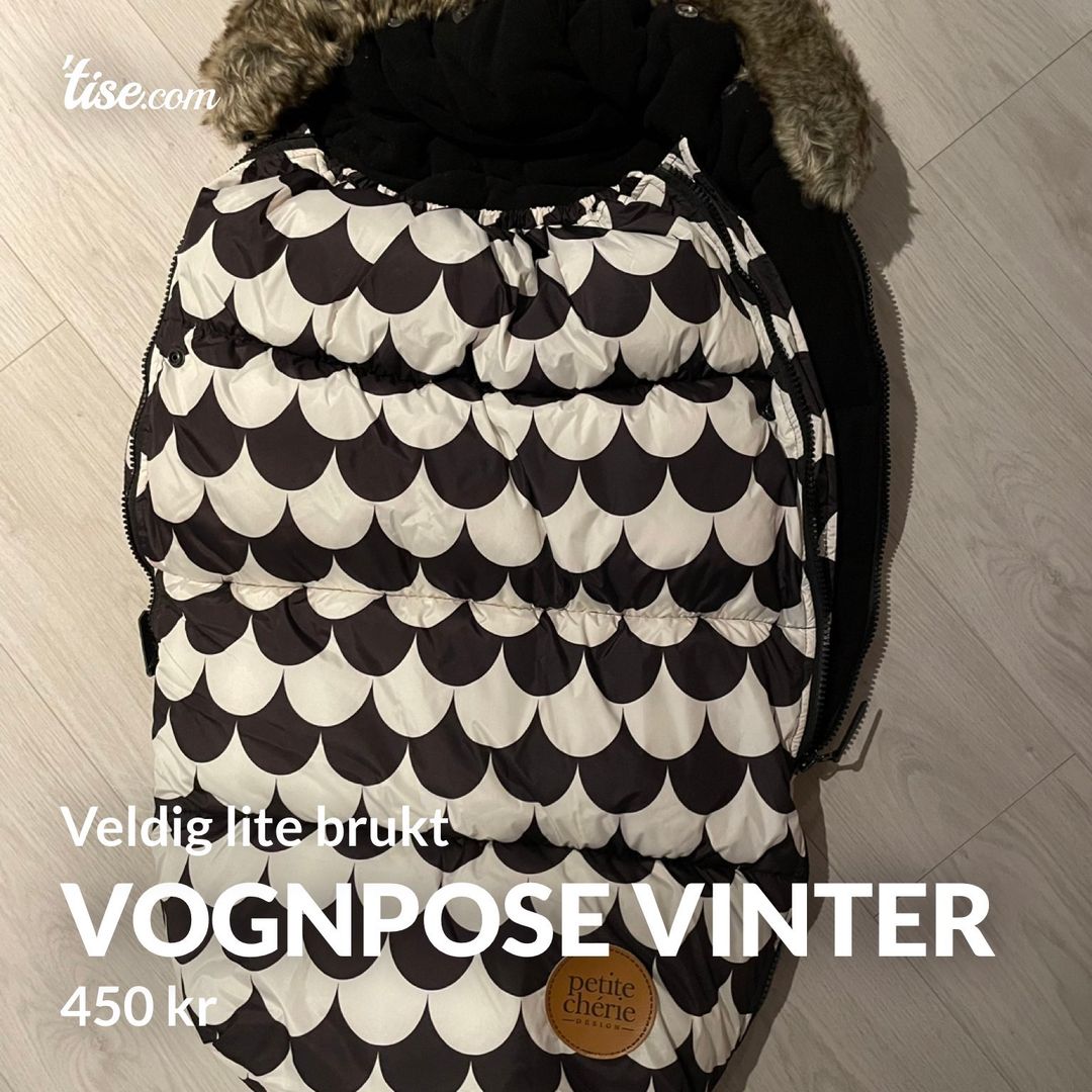 Vognpose vinter