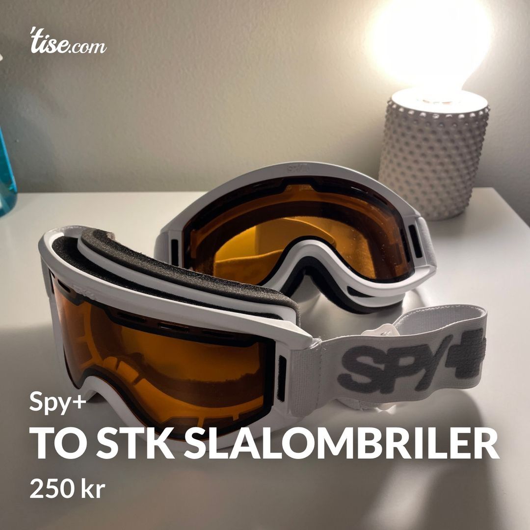 To stk slalombriler