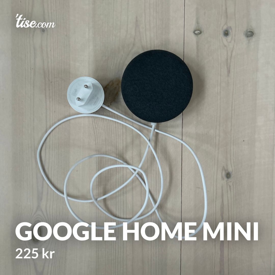 Google home mini