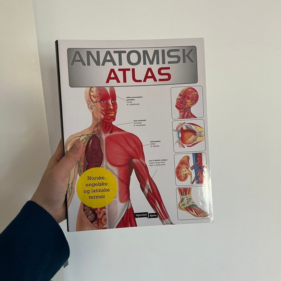 ANATOMISK ATLAS