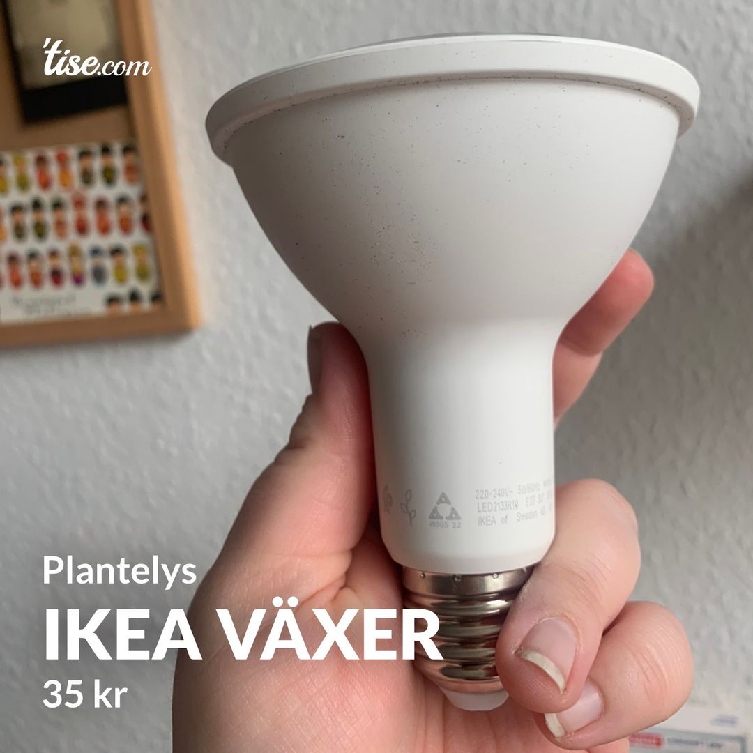 Ikea Växer