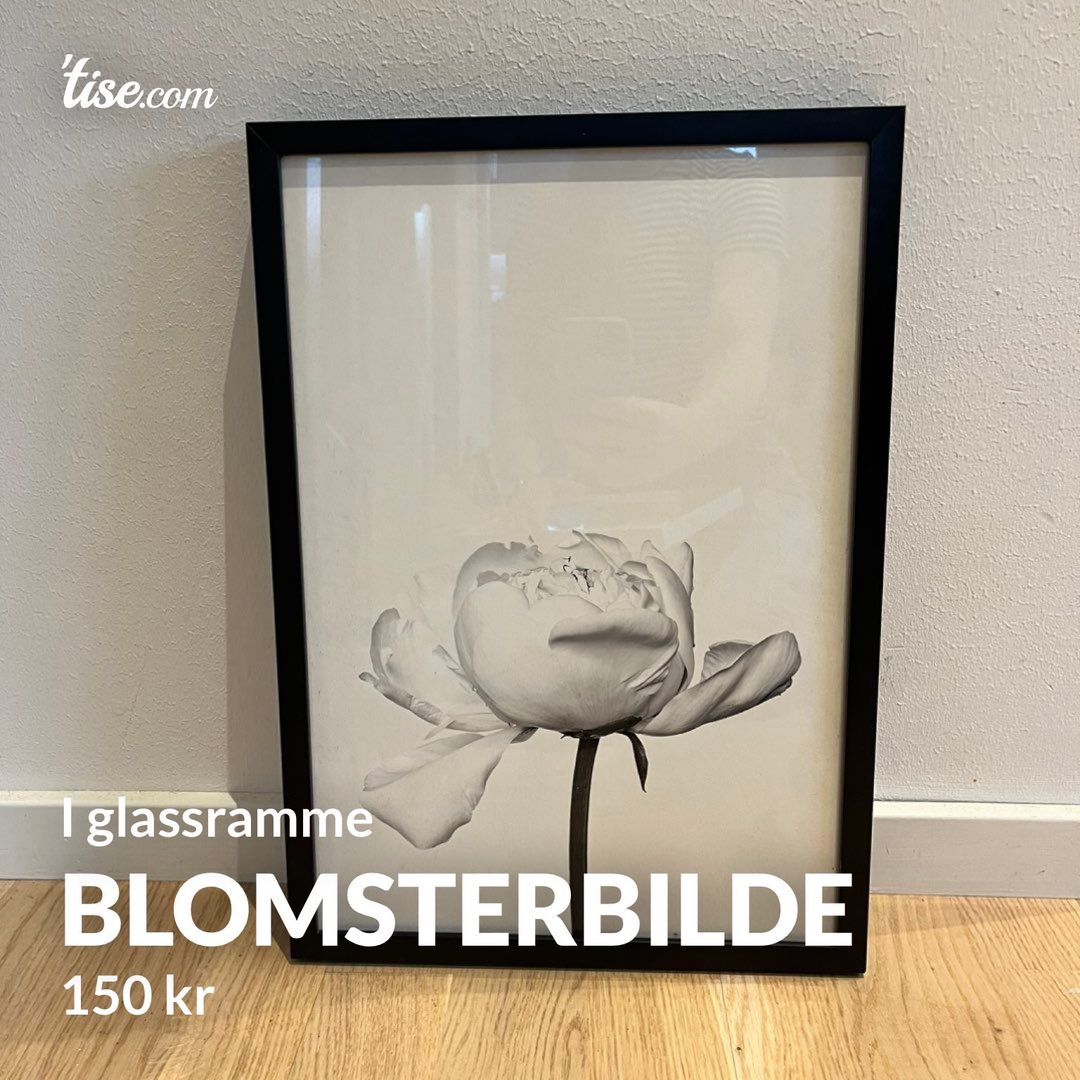 Blomsterbilde