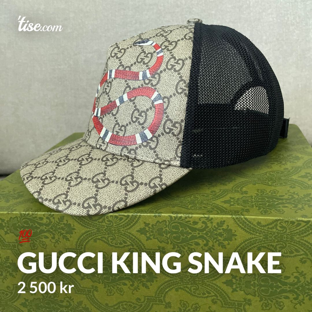 Gucci king snake