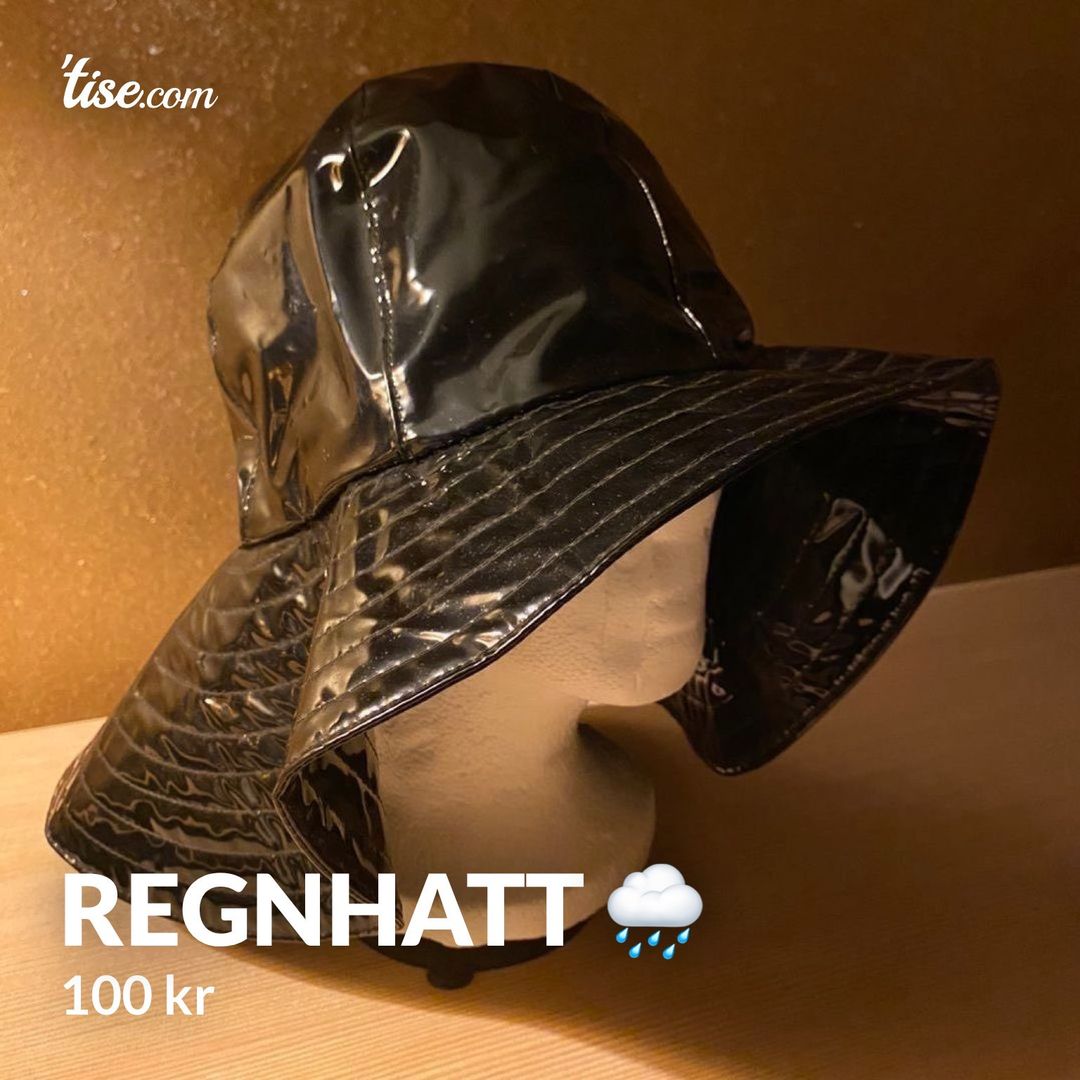 Regnhatt 🌧️