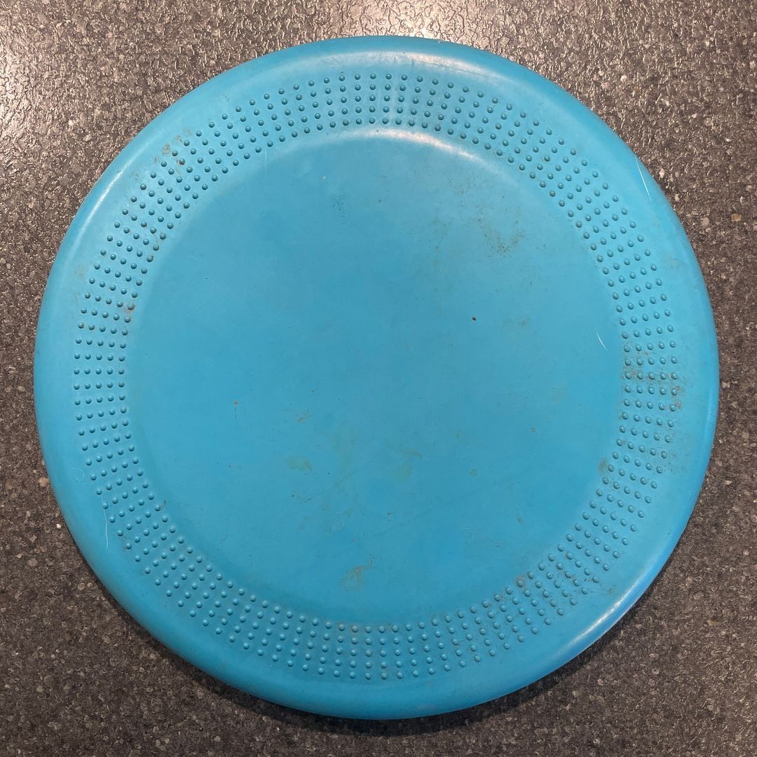 Frisbee