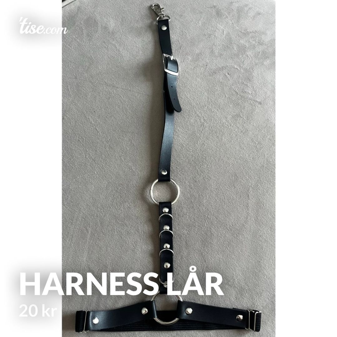 Harness lår