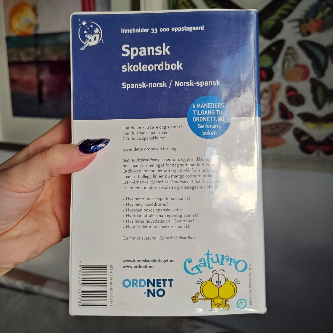 Spansk Skoleordbok