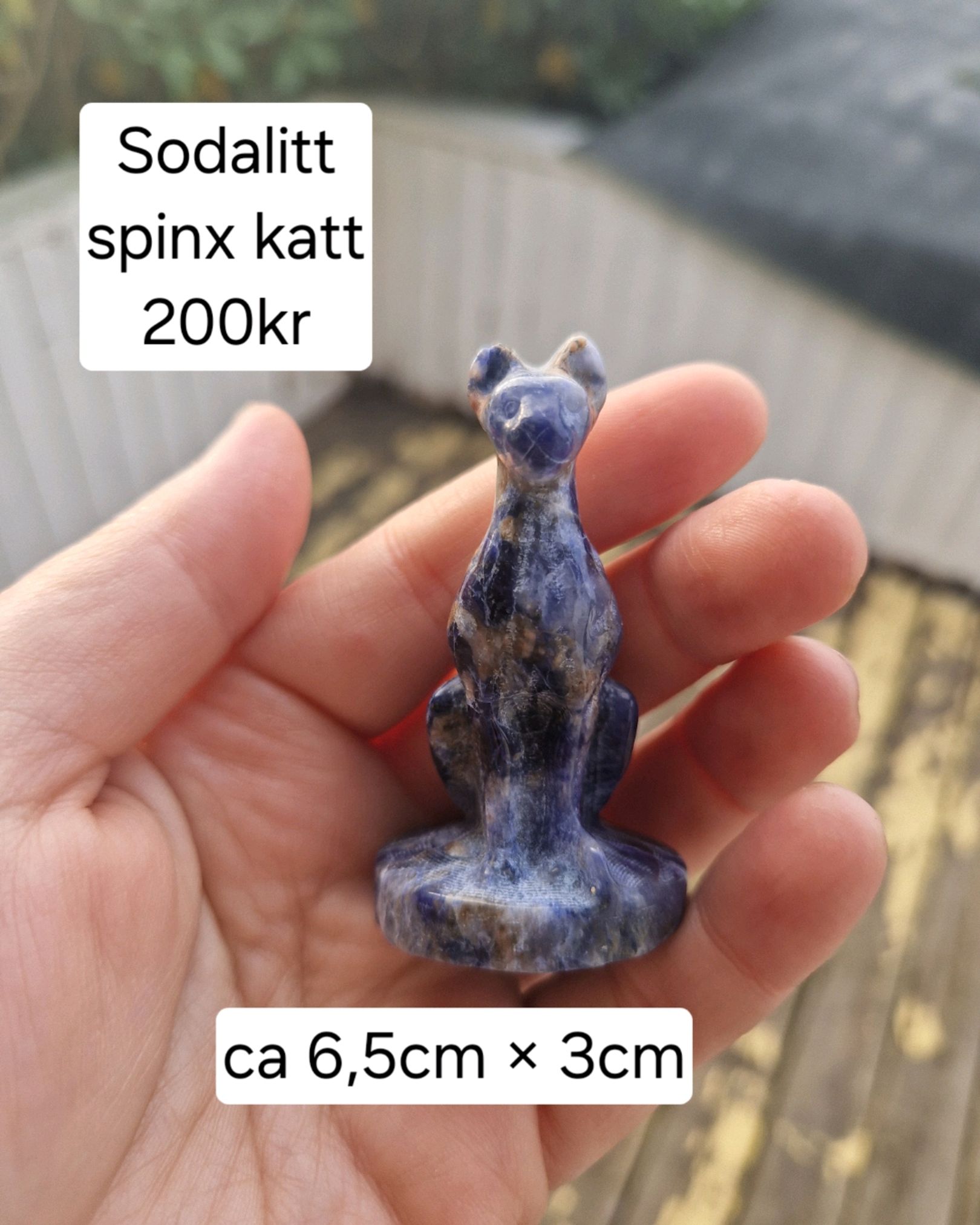 Sodalitt Katt