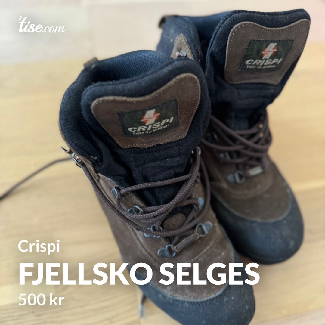 Fjellsko selges