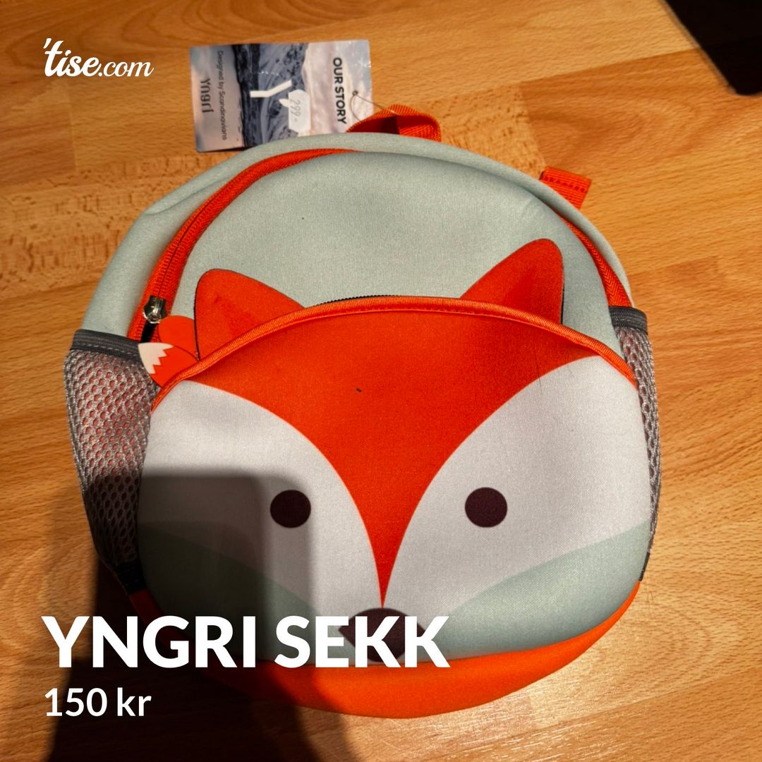 Yngri sekk