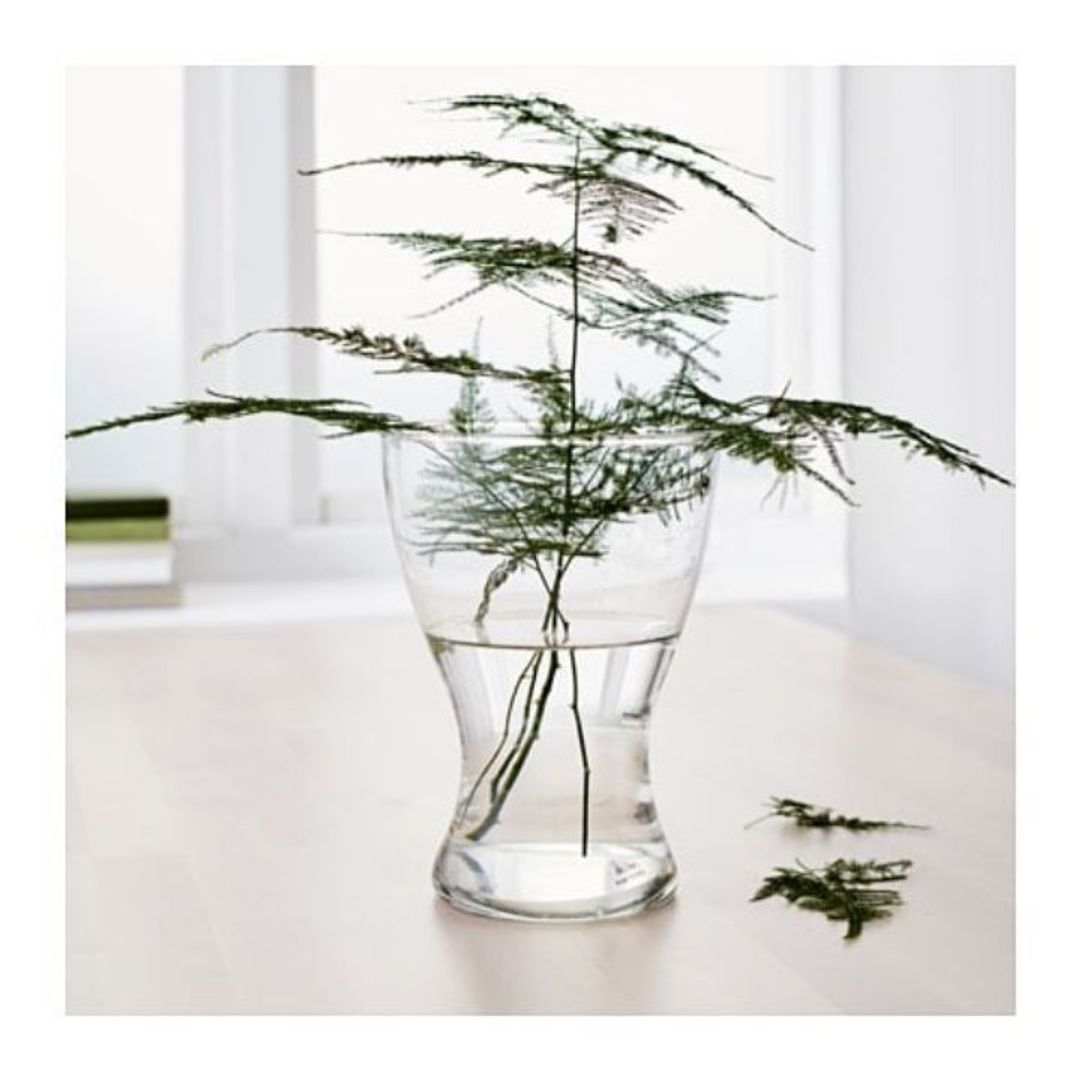 Glassvase