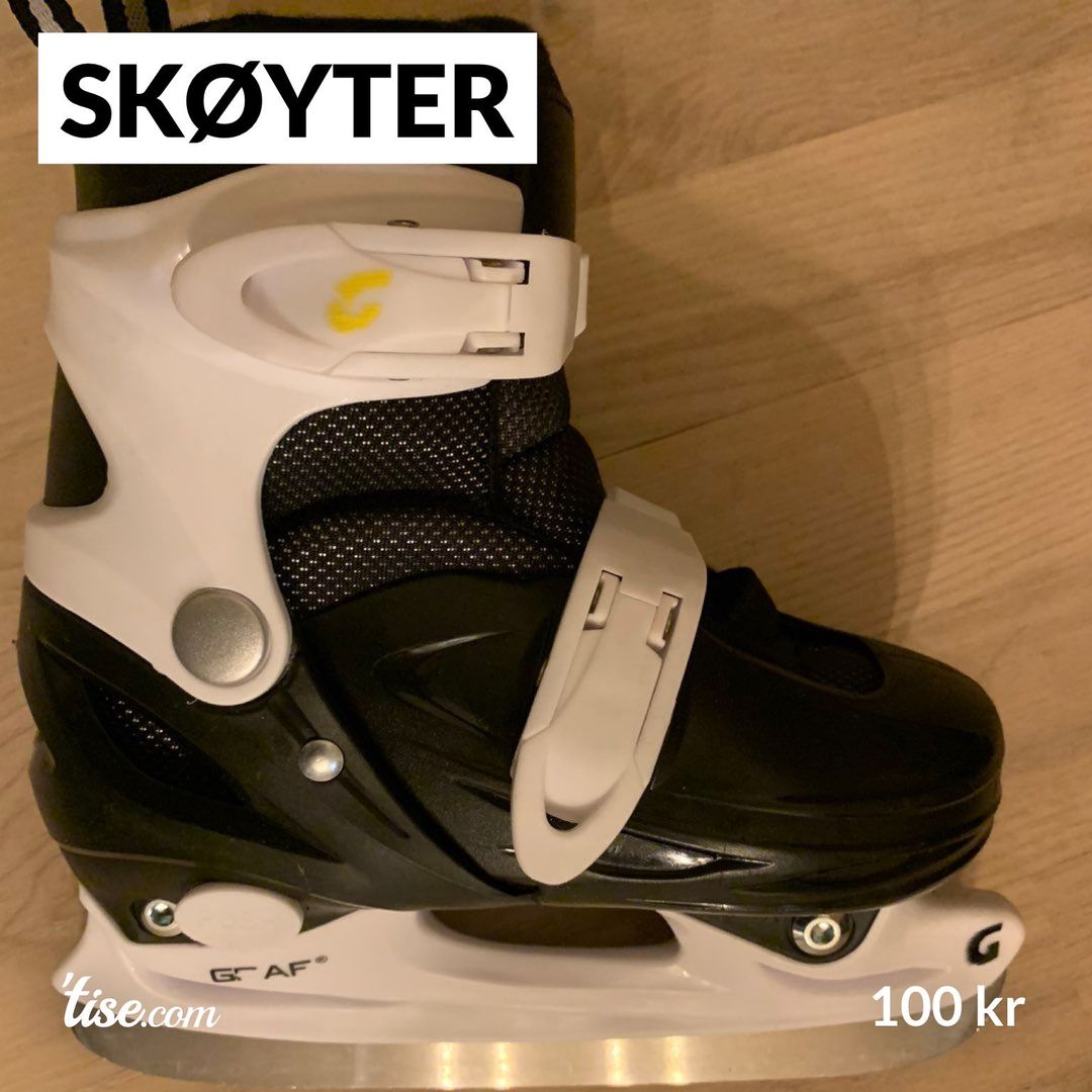 Skøyter