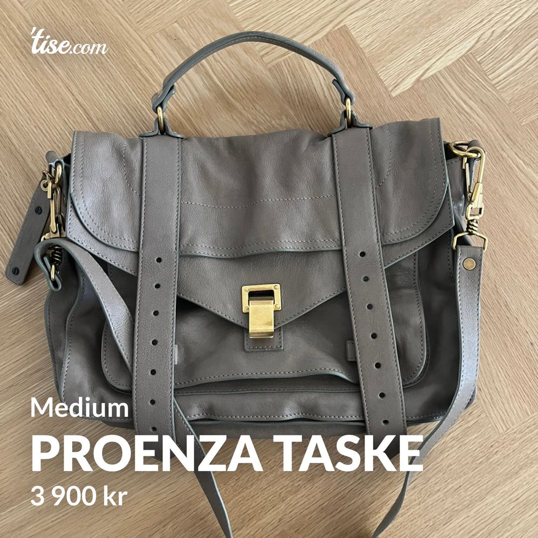 Proenza taske