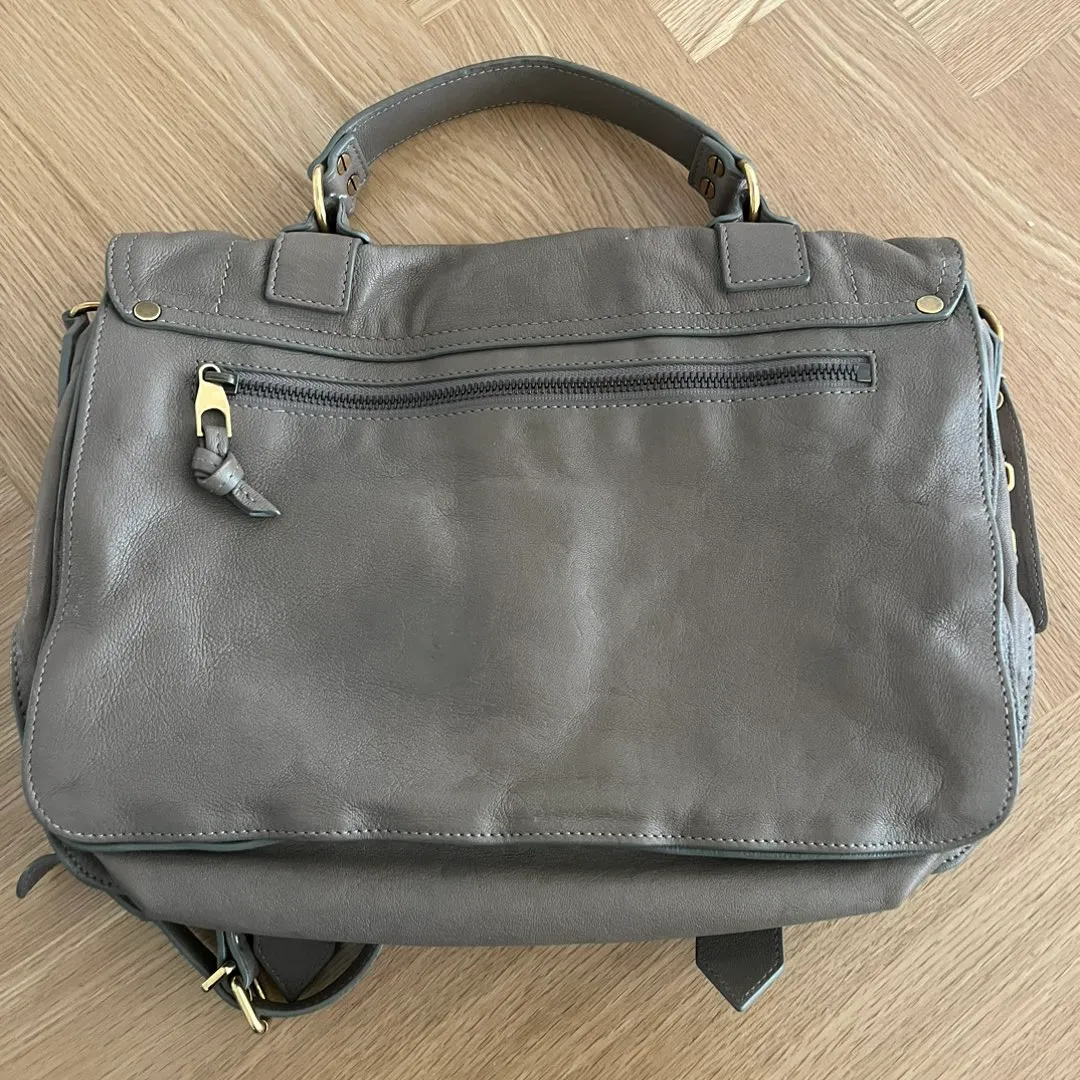 Proenza taske