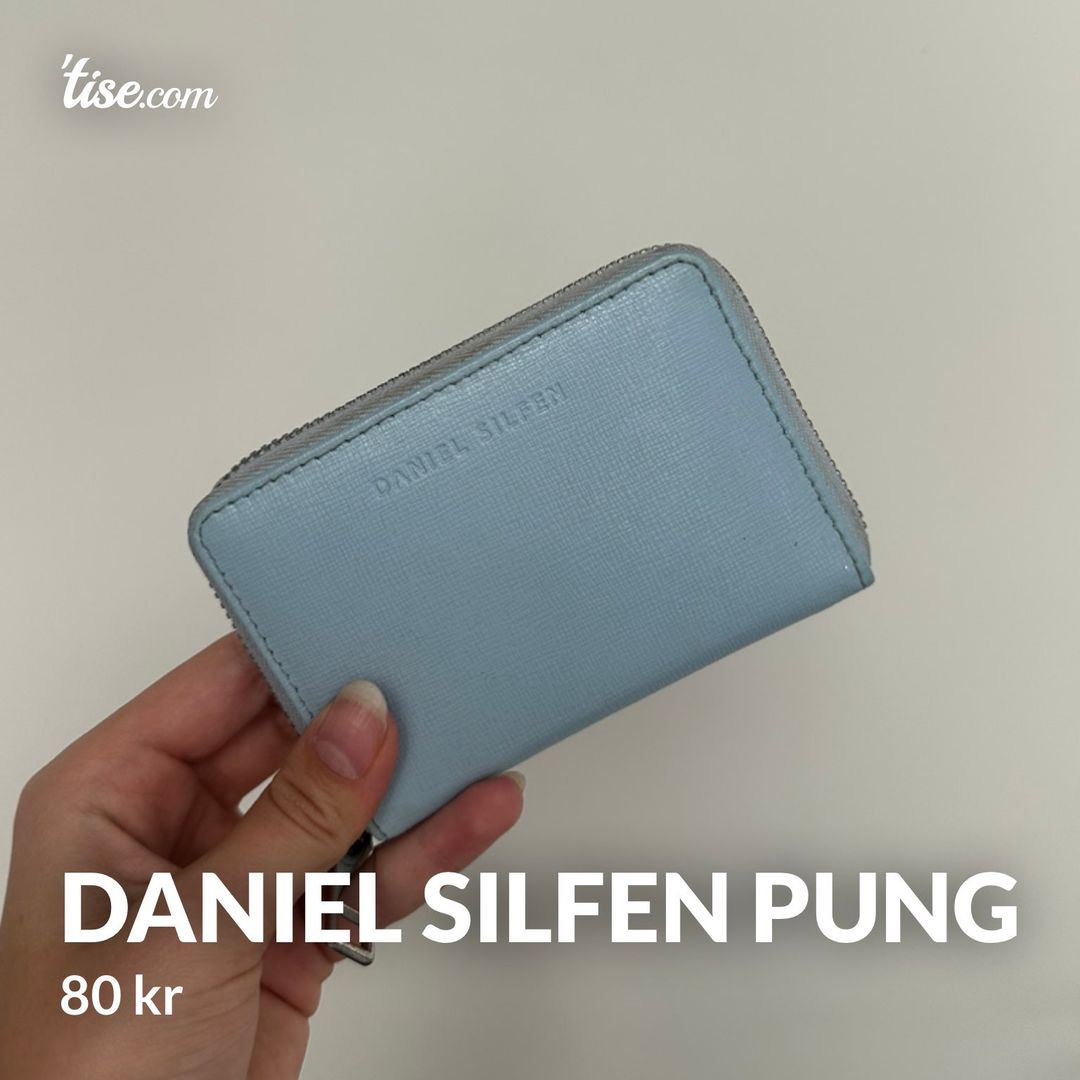 Daniel Silfen Pung