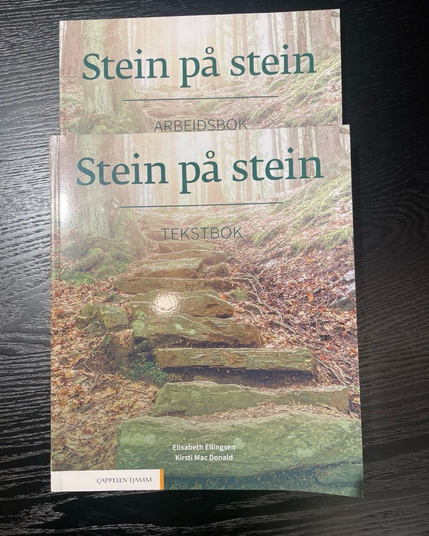 Stein på Stein B1