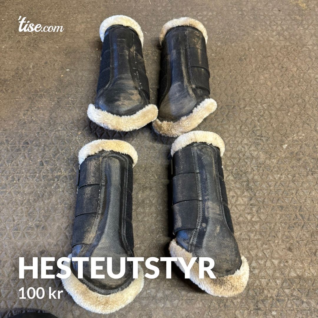 Hesteutstyr