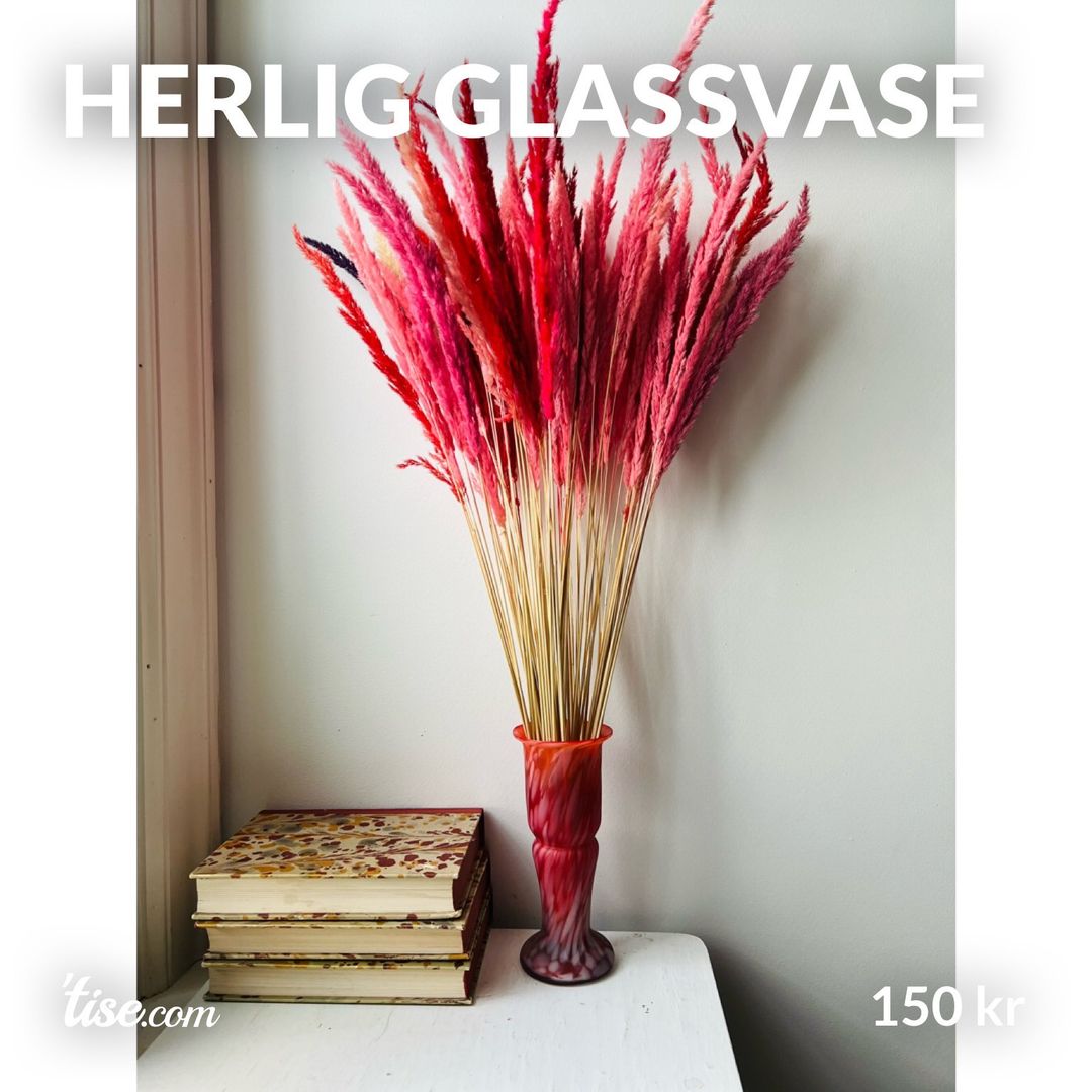 Herlig glassvase