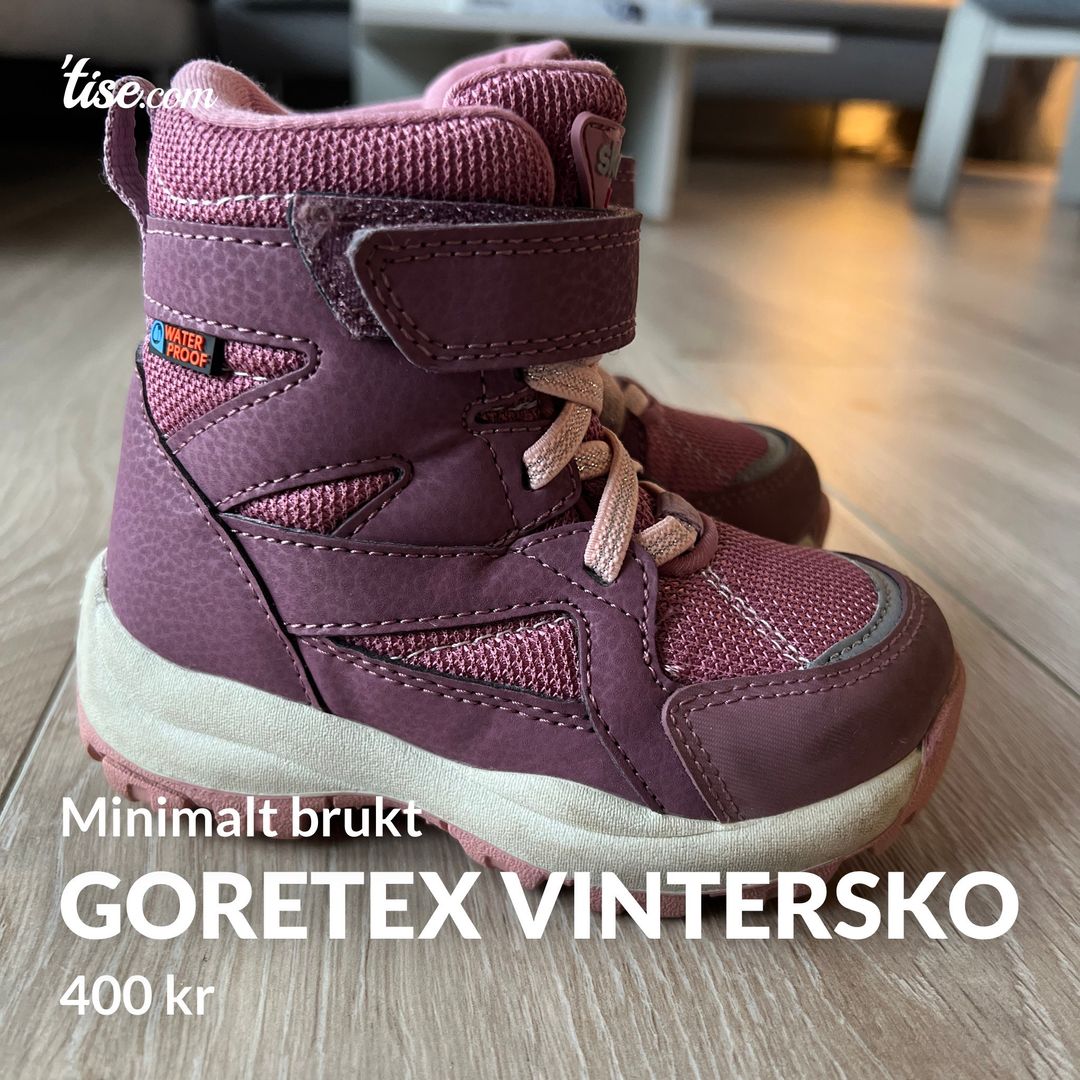 Goretex vintersko