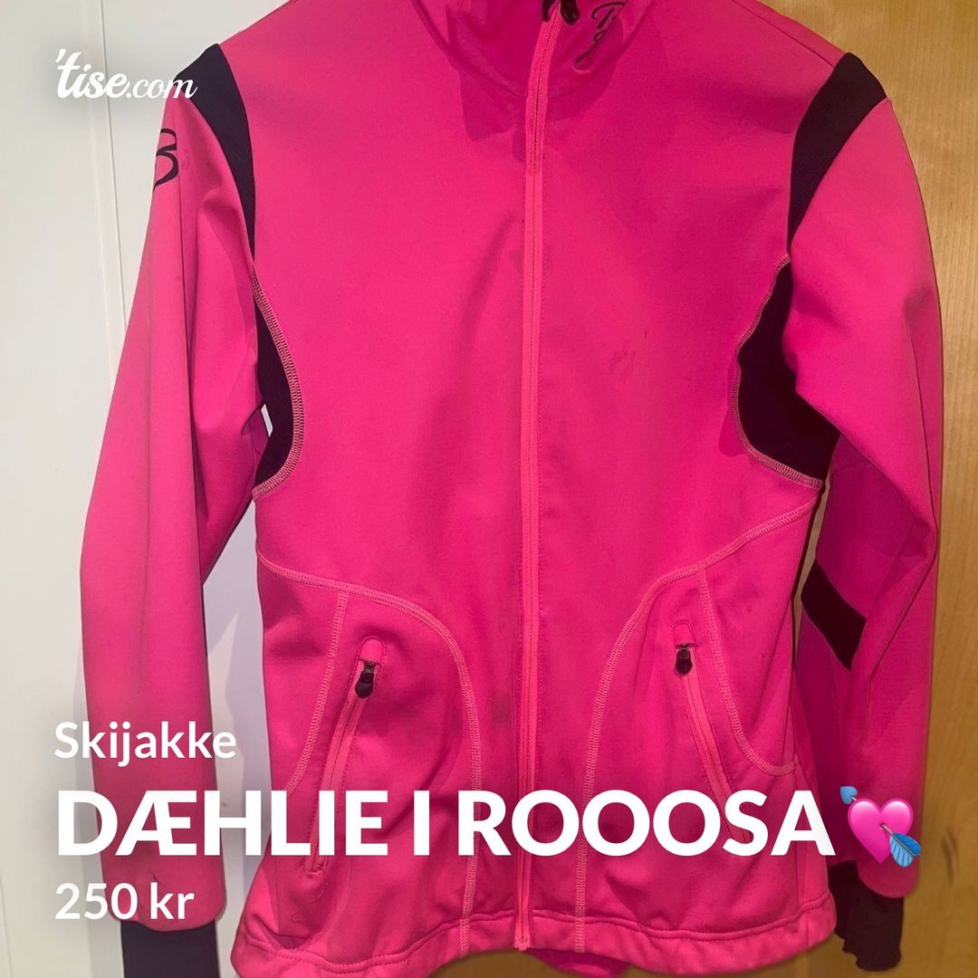 Dæhlie i rooosa💘