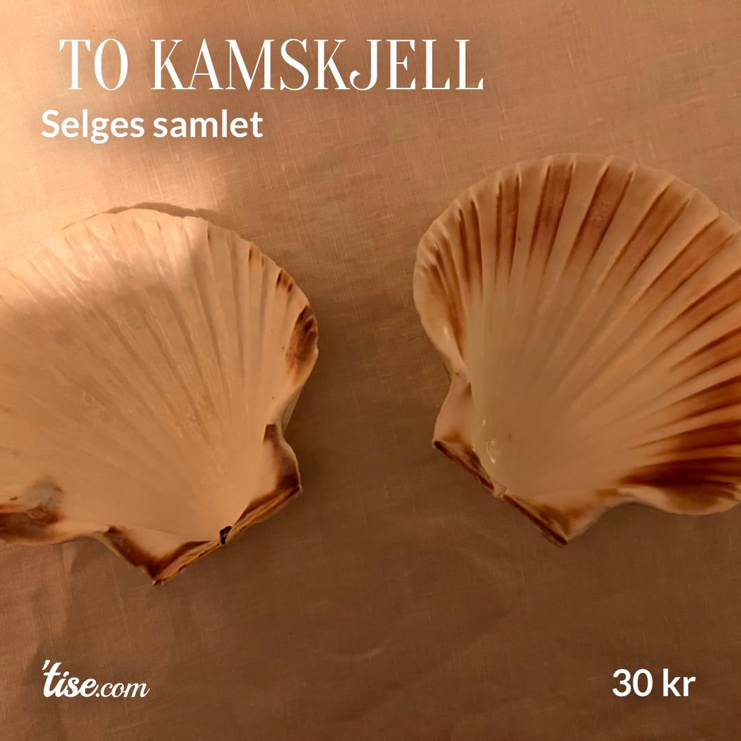 To kamskjell