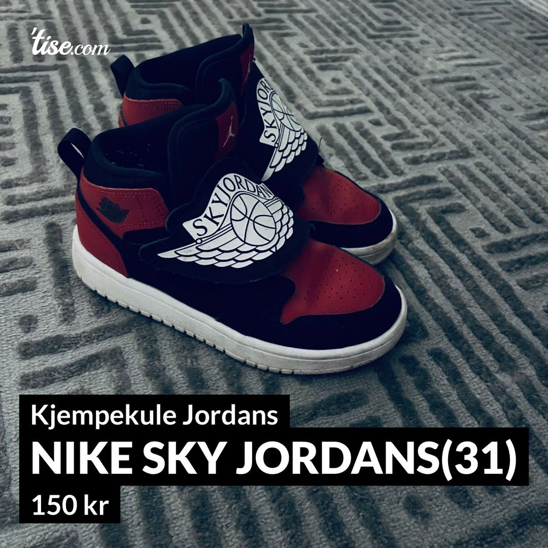 Nike Sky Jordans(31)