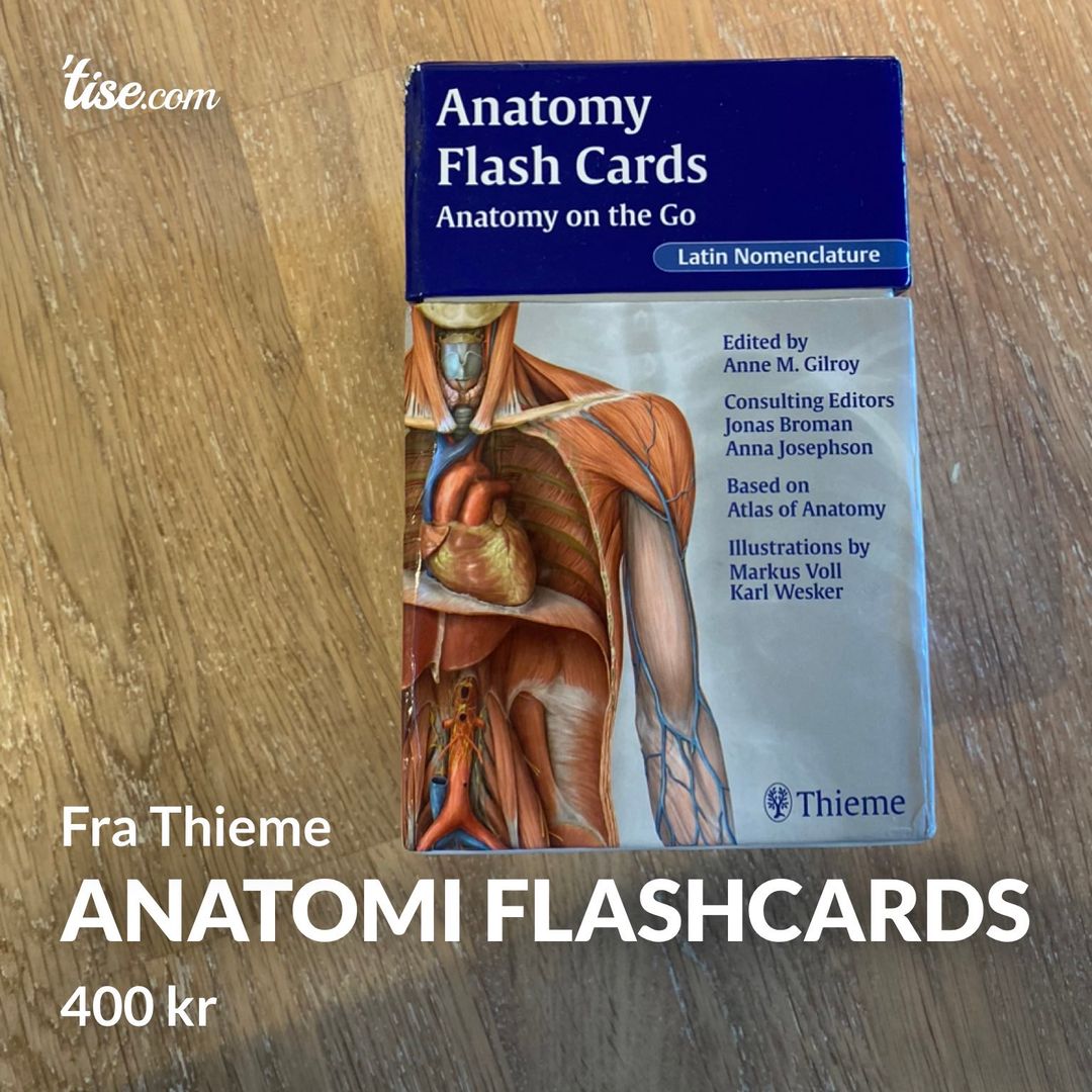 Anatomi flashcards