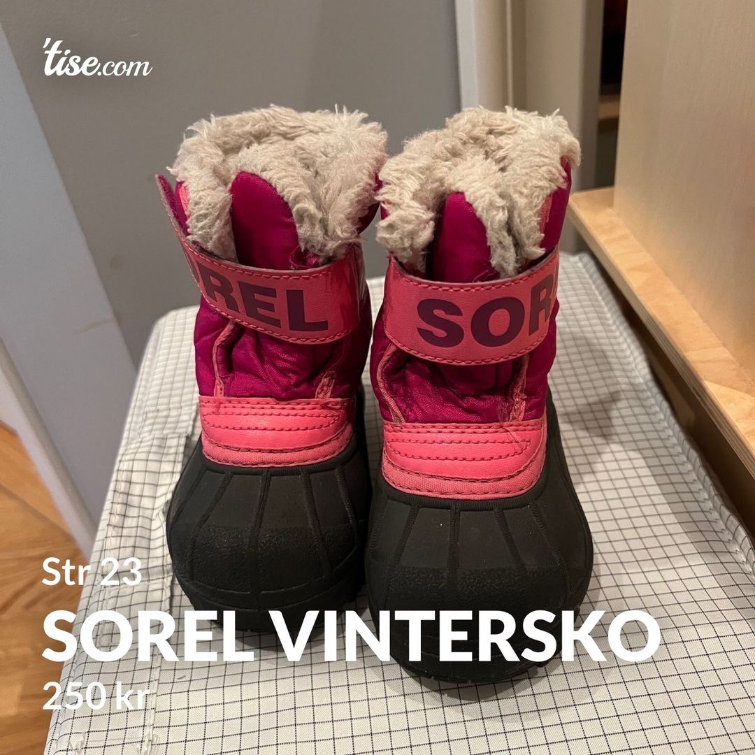 Sorel vintersko