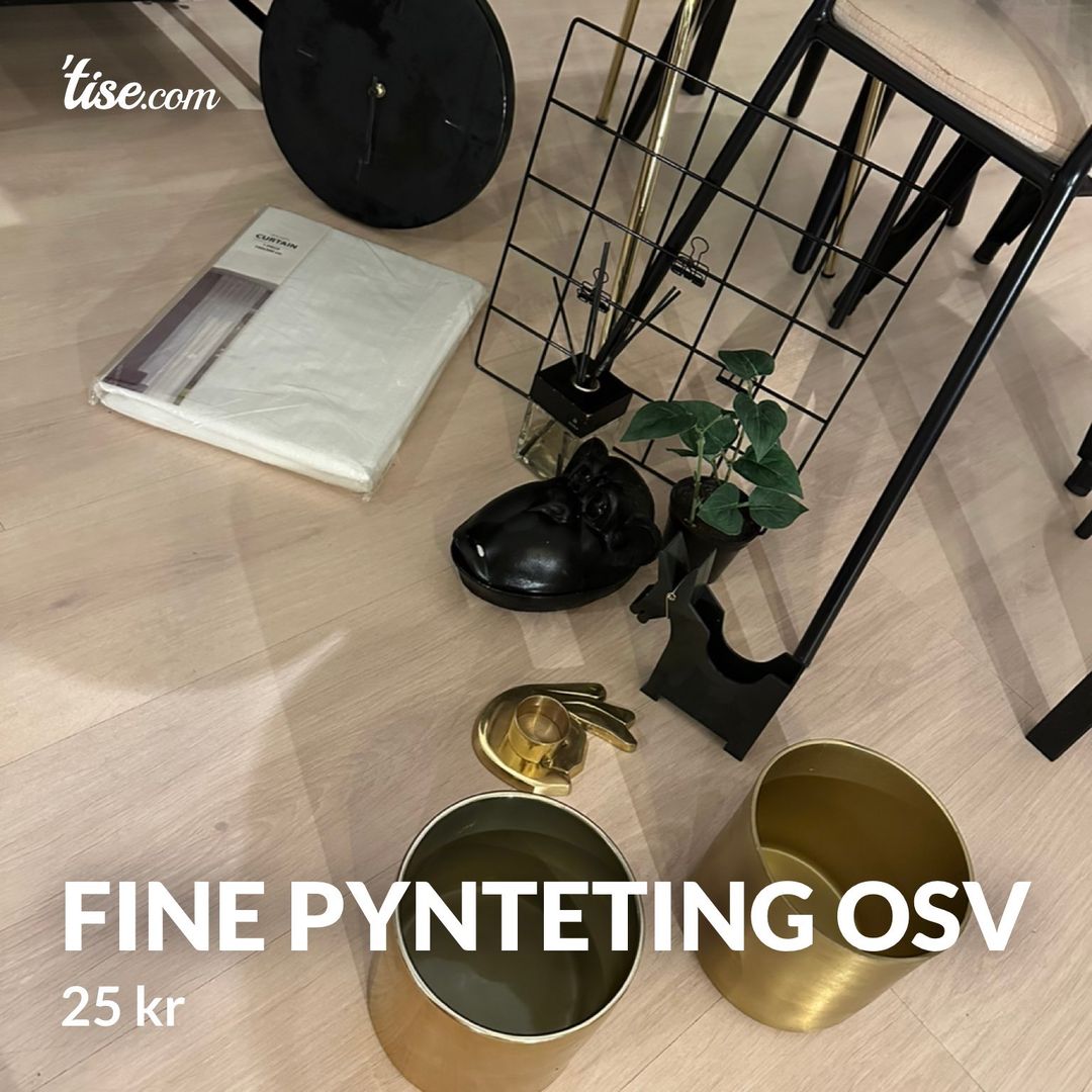 Fine pynteting osv