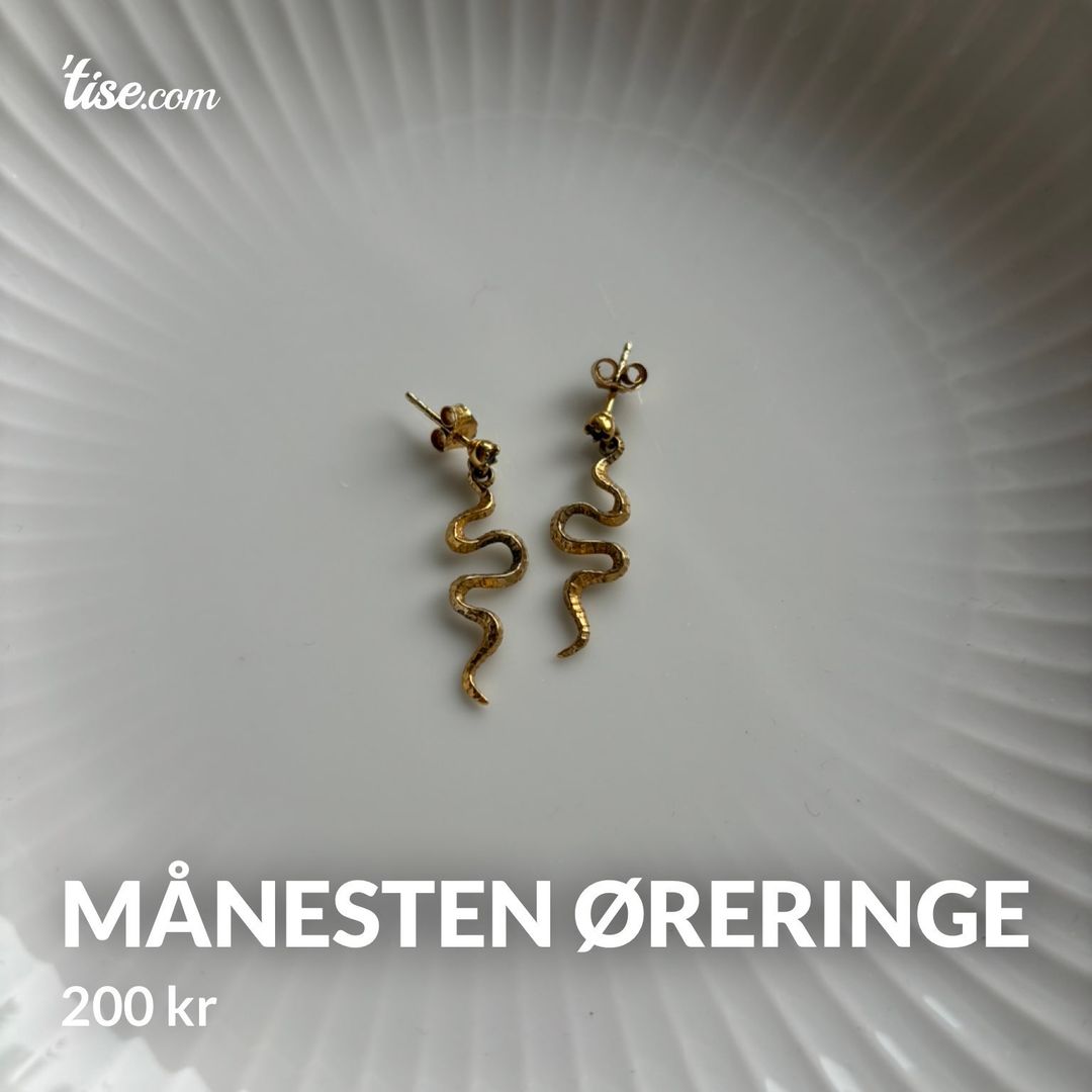 Månesten øreringe