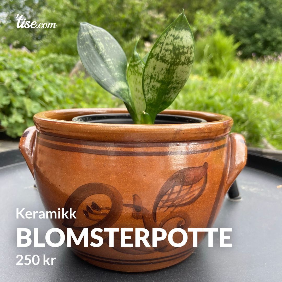 Blomsterpotte