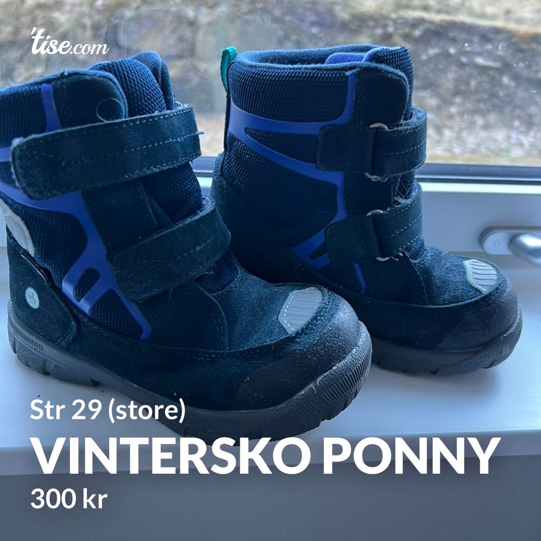 Vintersko Ponny