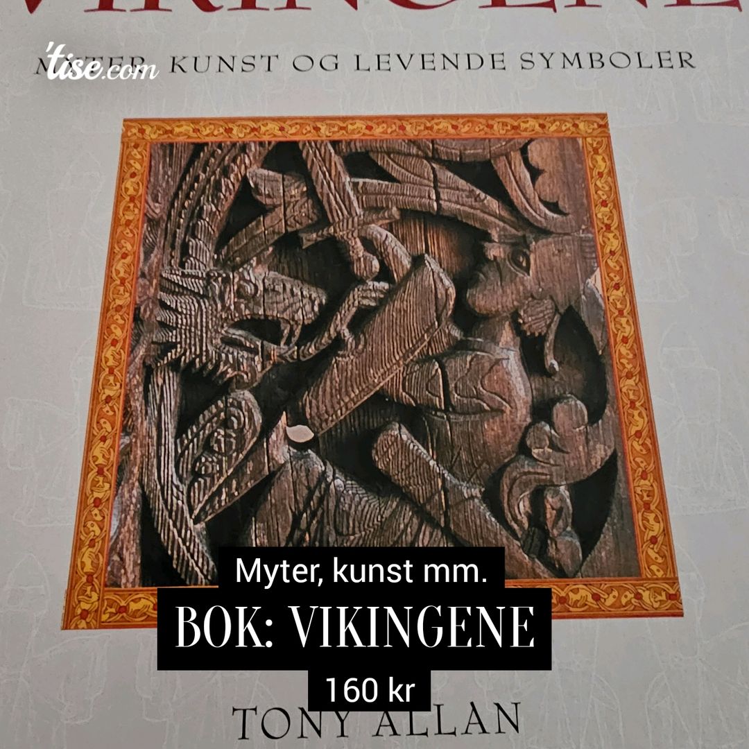 Bok: Vikingene