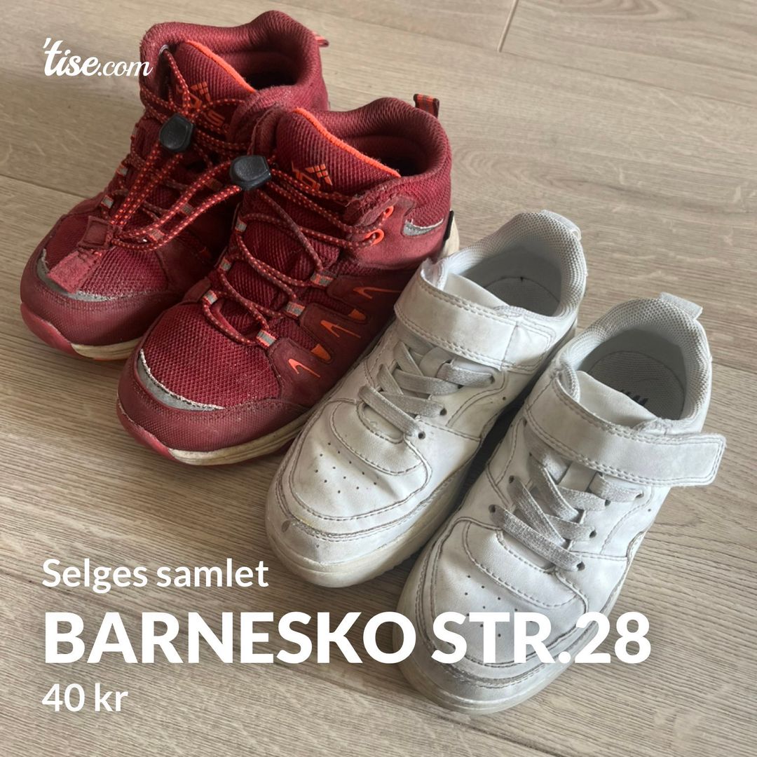 Barnesko str28