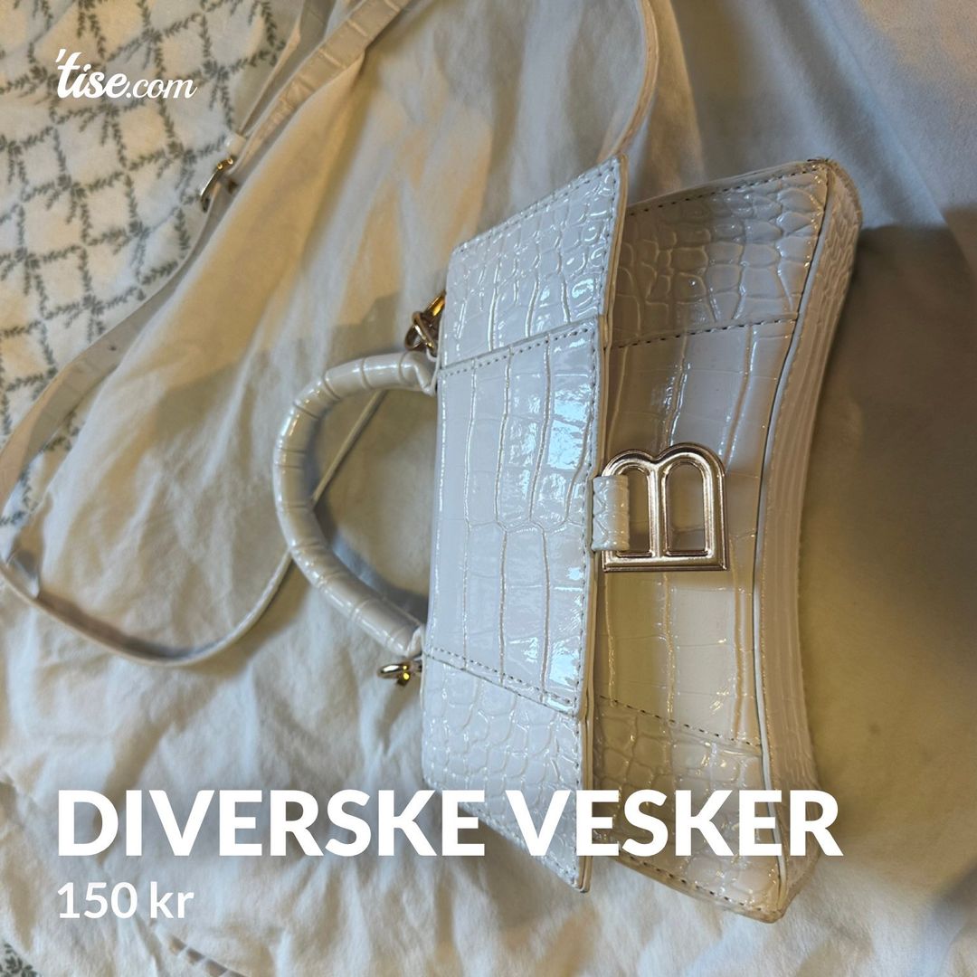 Diverske vesker