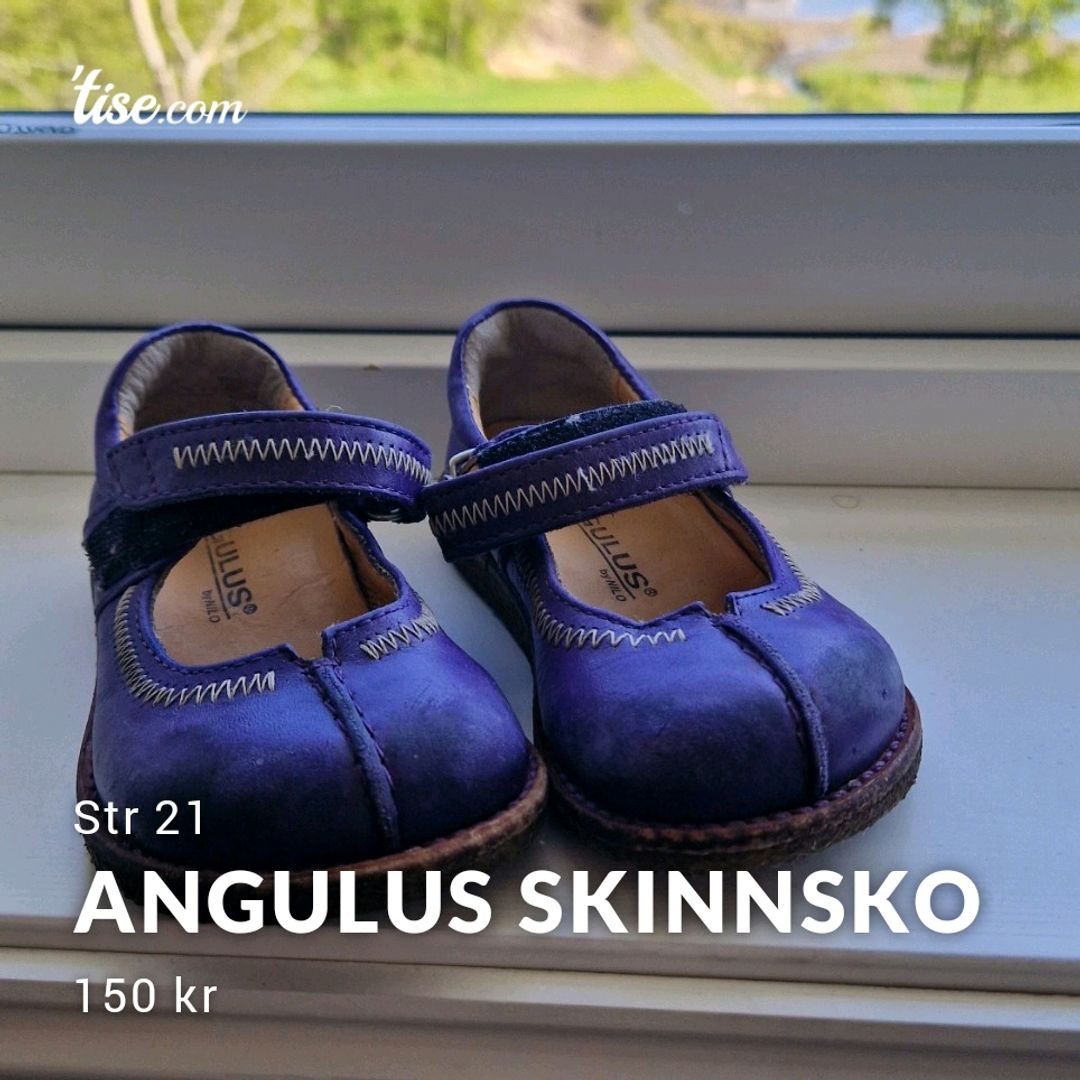 Angulus Skinnsko