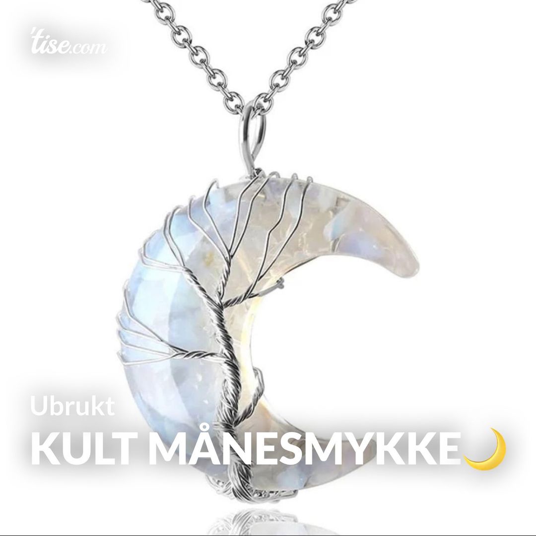 Kult Månesmykke🌙