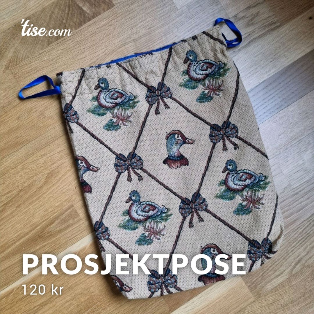 Prosjektpose